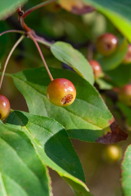 最大亮点 最大亮点