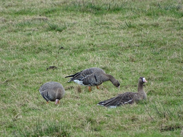 劳模精神 劳模精神