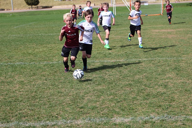 球员所有权 球员所有权