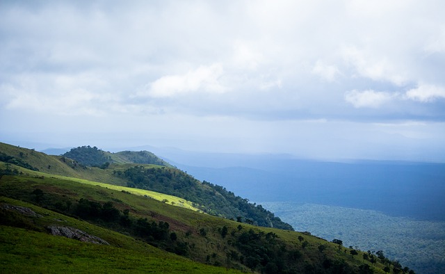 这样的案例 这样的案例