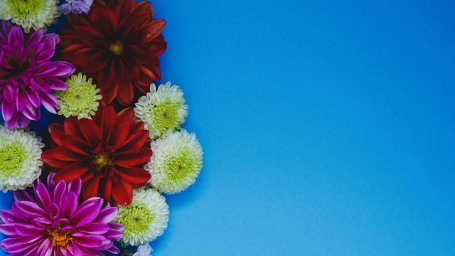 也为中国篮 也为中国篮