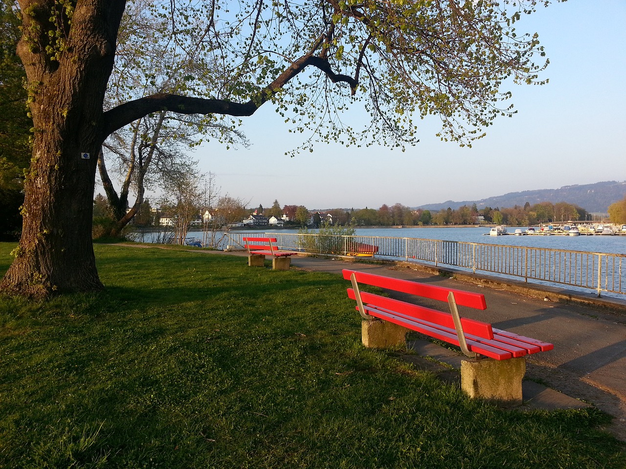 仅引发球迷 仅引发球迷