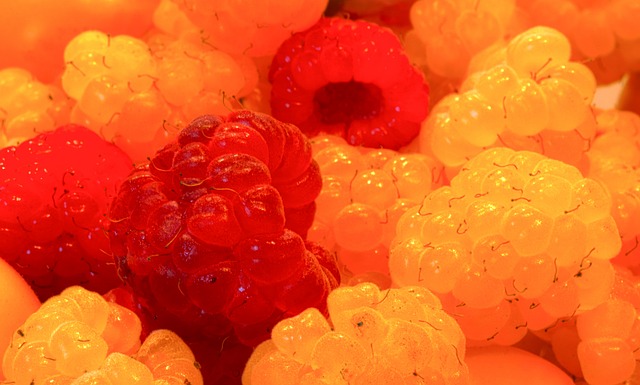 為何選擇迪 為何選擇迪