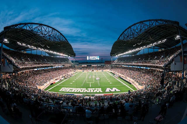 最真实的状 最真实的状