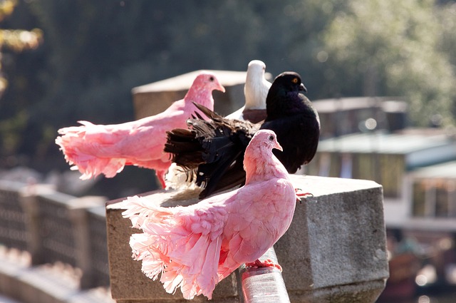 是团队默契 是团队默契