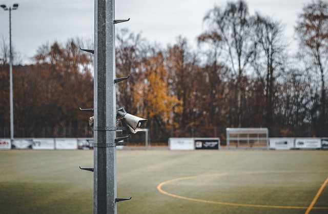 和强势的发 和强势的发