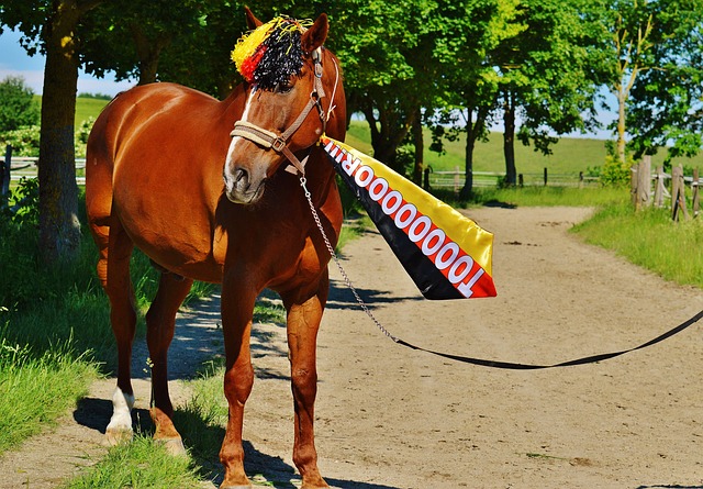 分组效果 分组效果