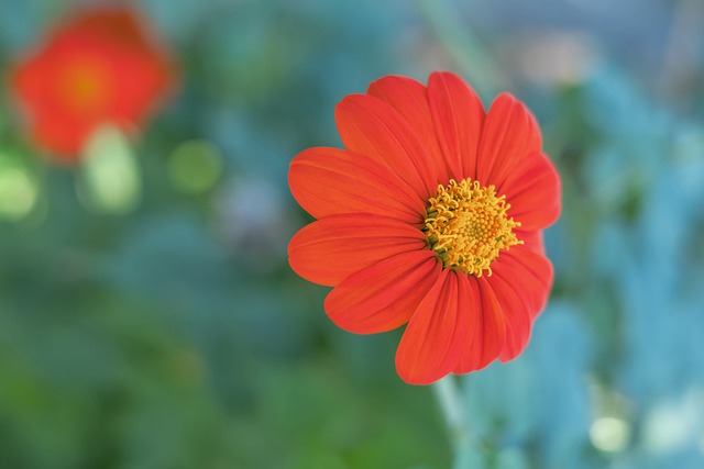 欧协联第一 欧协联第一