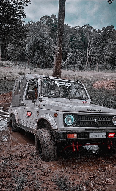 经济效益 经济效益