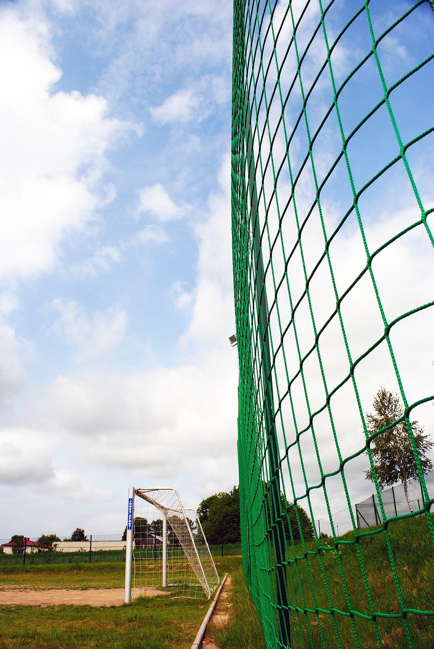 与环境保护 与环境保护